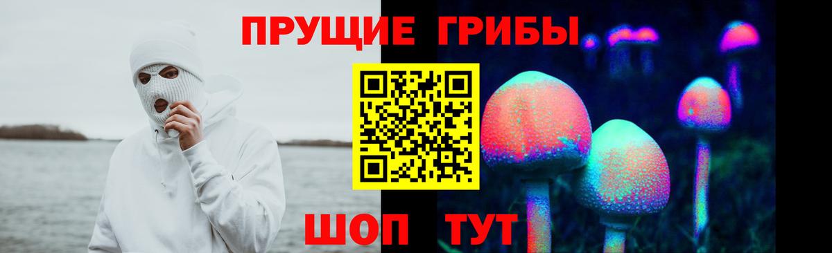 Заводоуковск  Псилоцибиновые грибы мухоморы  Вход с VPN 